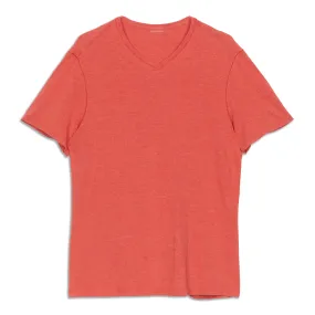5 Year Basic V-Neck Shirt - Resale